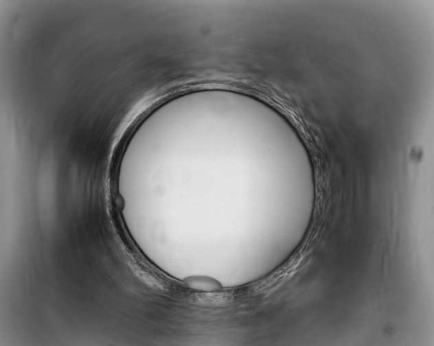X0000100190102200805300734
