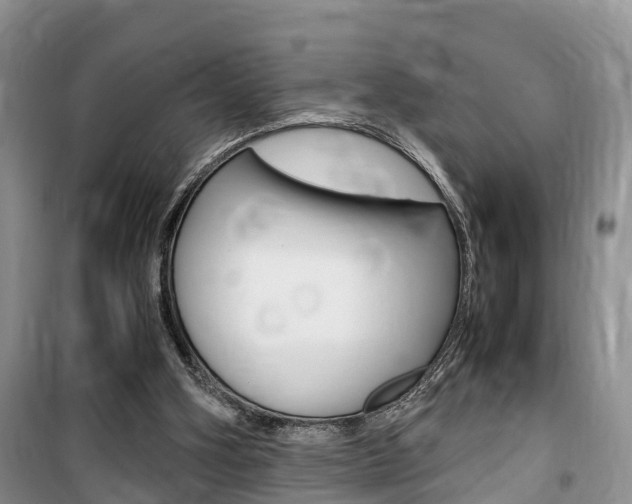 X0000100190106200805300733