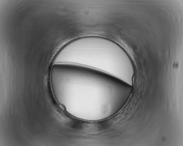 X0000100190107200805300733