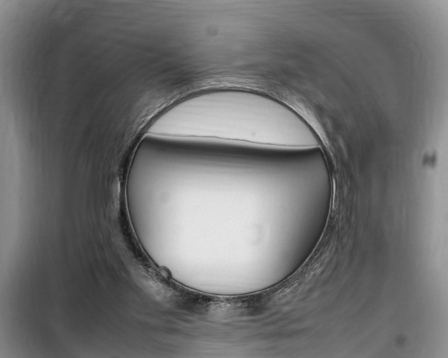 X0000100190109200805300733