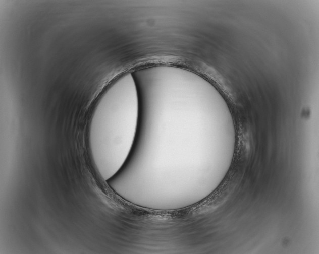X0000100190110200805300733