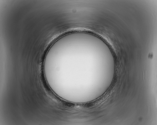 X0000100190111200805300733