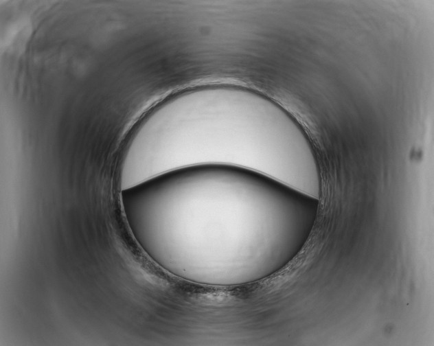 X0000100190112200805300733