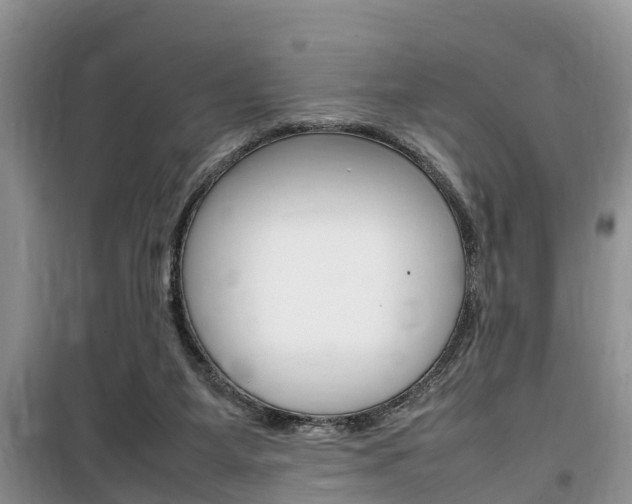 X0000100190115200805300733