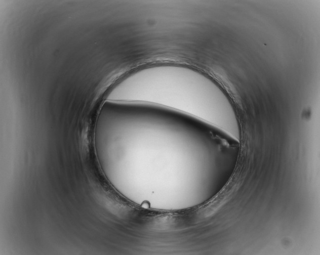 X0000100190116200805300733