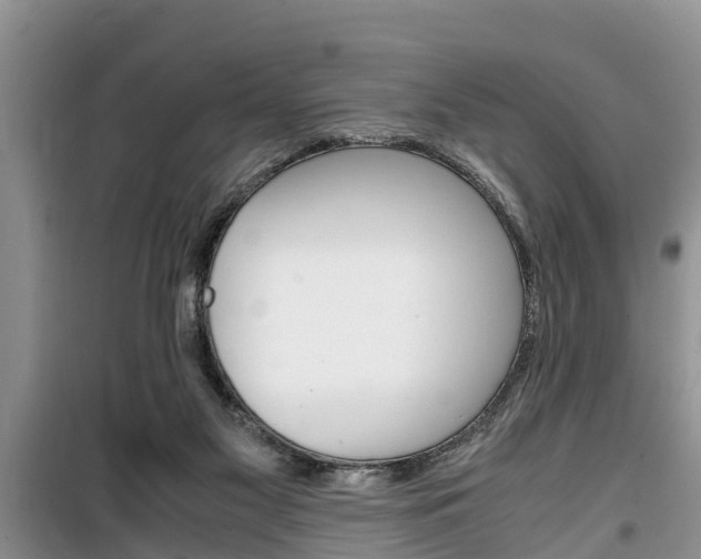 X0000100190117200805300733