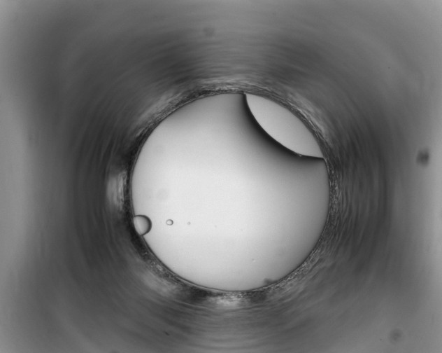 X0000100190118200805300733
