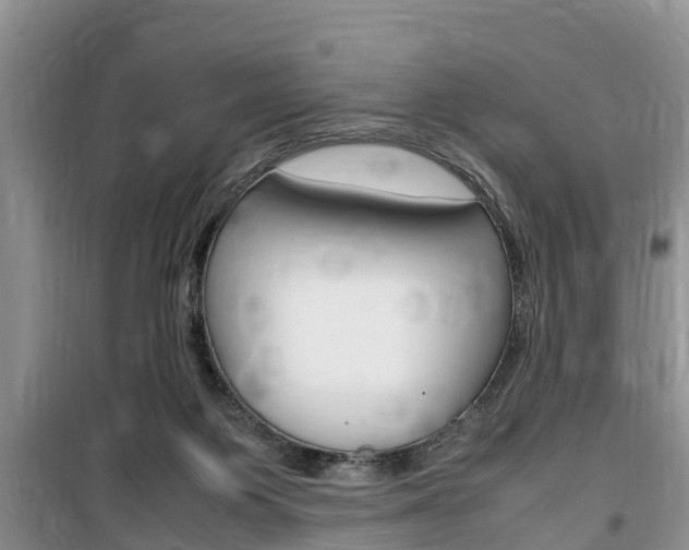 X0000100190119200805300733