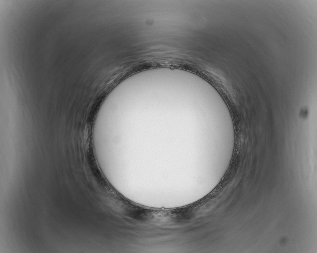 X0000100190121200805300733