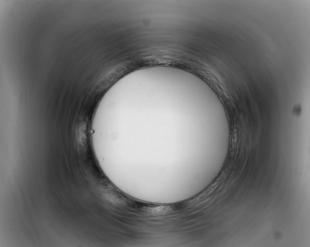X0000100190122200805300733