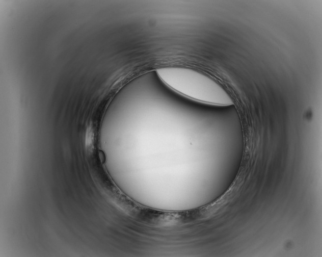 X0000100190124200805300733