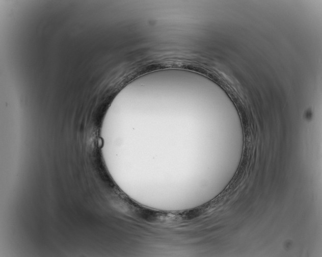 X0000100190125200805300733