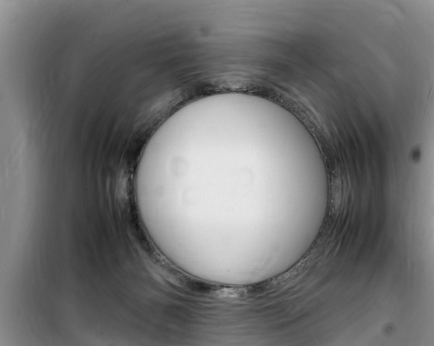 X0000100190126200805300733