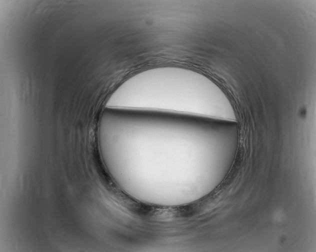X0000100190127200805300733