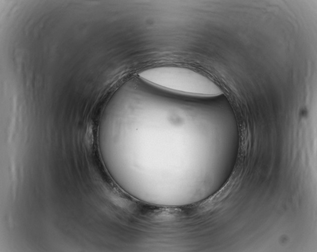 X0000100190128200805300733