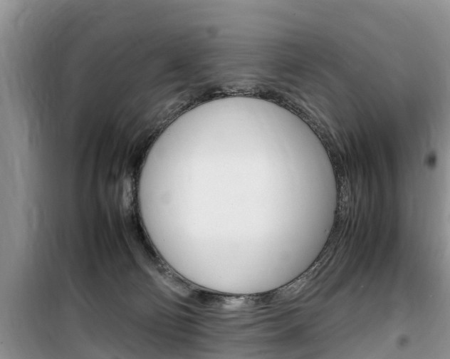 X0000100190130200805300733