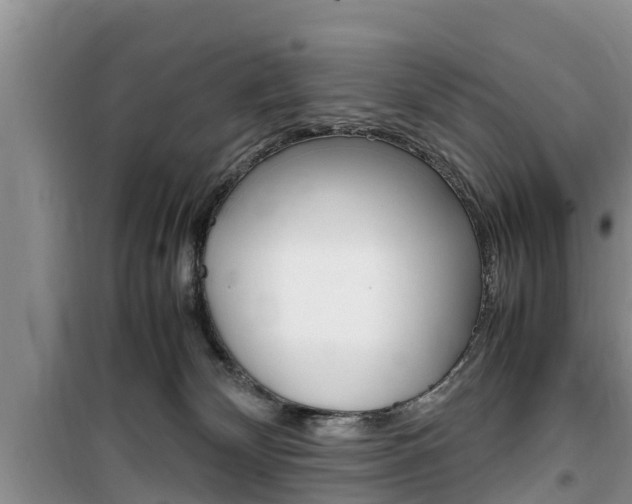 X0000100190132200805300733