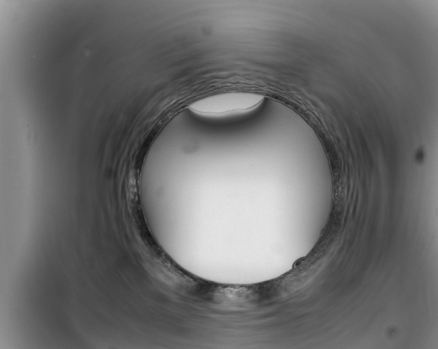 X0000100190137200805300733