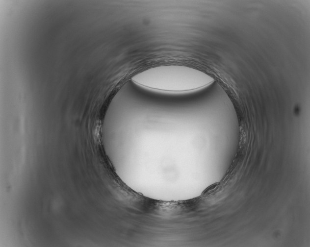 X0000100190141200805300733