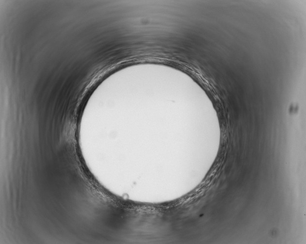 X0000100190146200805300732
