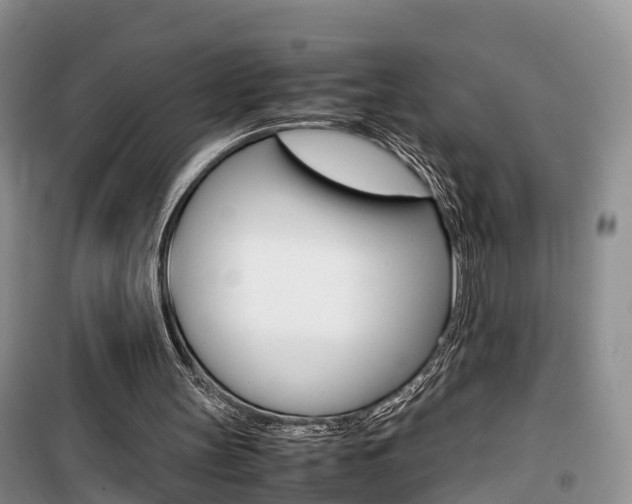 X0000100190147200805300732