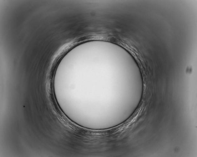 X0000100190149200805300732