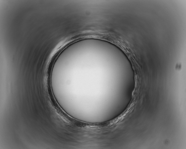 X0000100190150200805300732