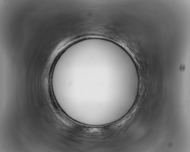 X0000100190151200805300732