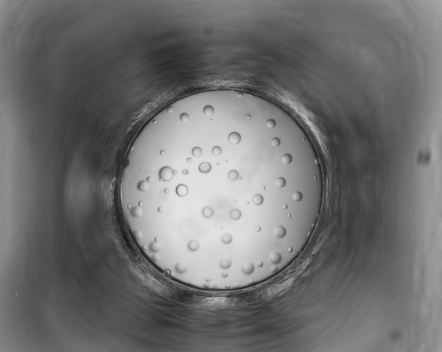 X0000100190153200805300732