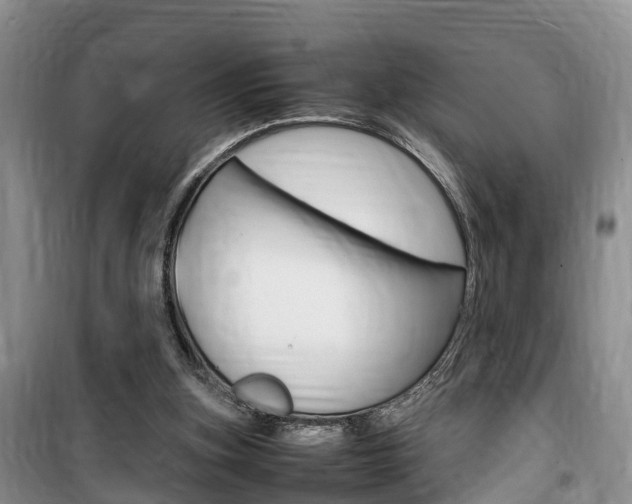 X0000100190155200805300732