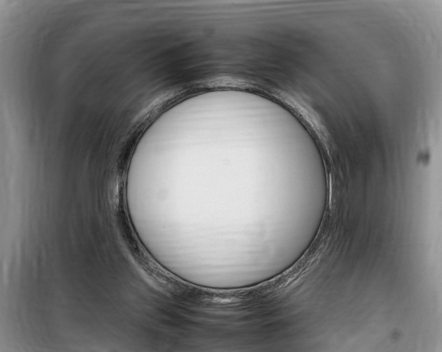 X0000100190157200805300732
