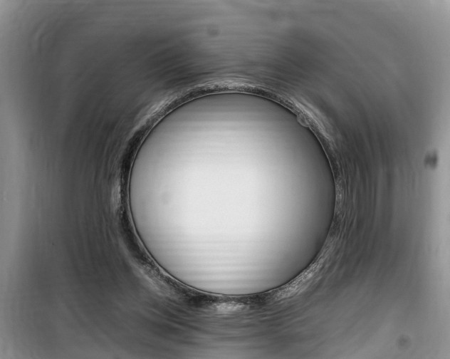 X0000100190158200805300732