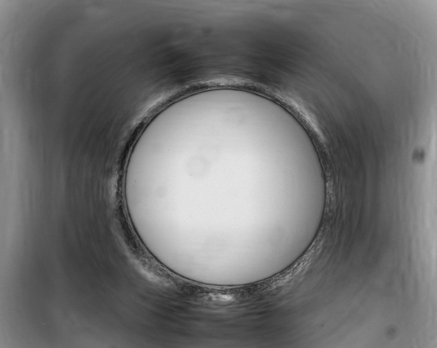 X0000100190159200805300732