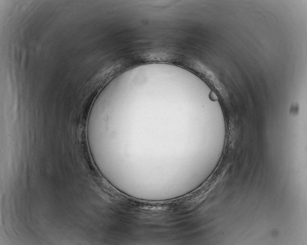 X0000100190161200805300732