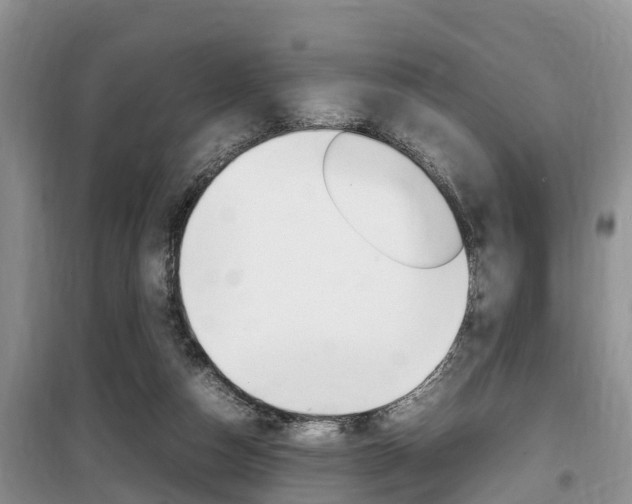 X0000100190162200805300732