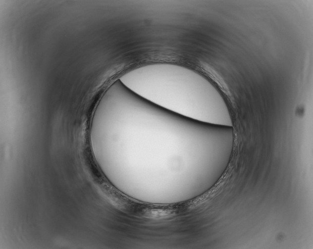 X0000100190163200805300732