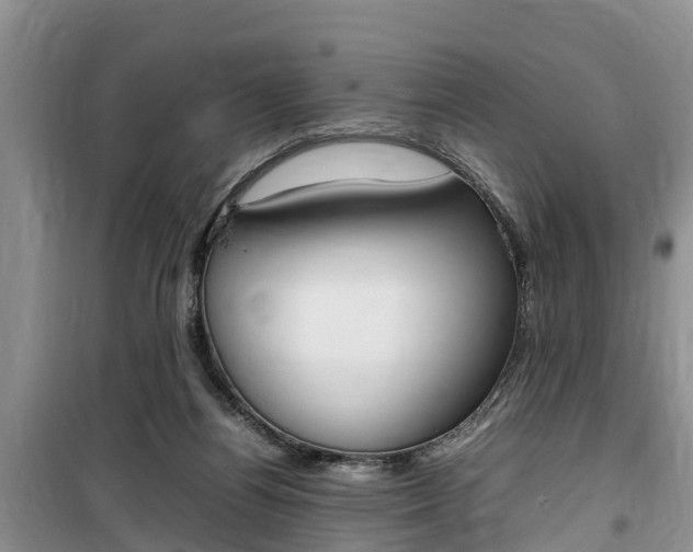 X0000100190164200805300732