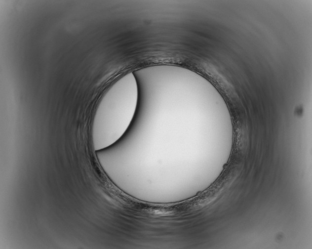 X0000100190165200805300732