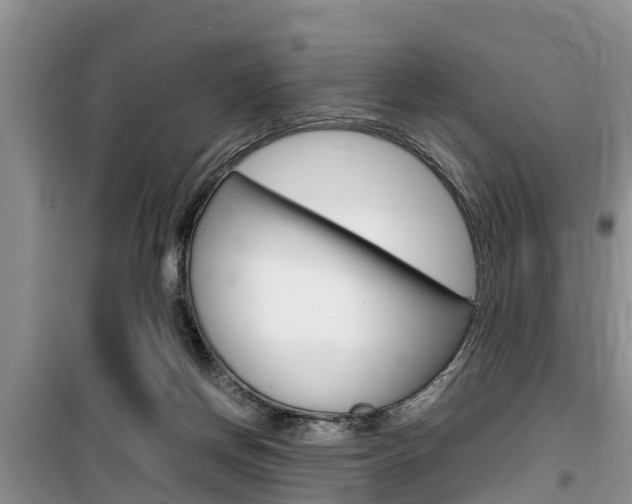 X0000100190166200805300732