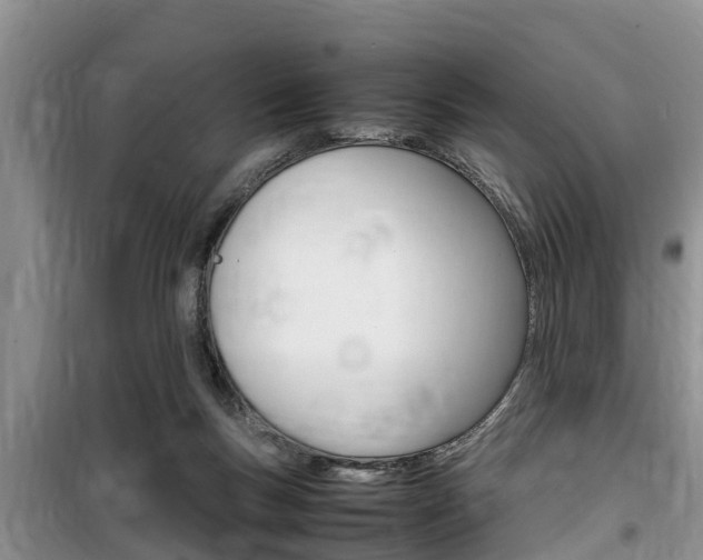 X0000100190167200805300733