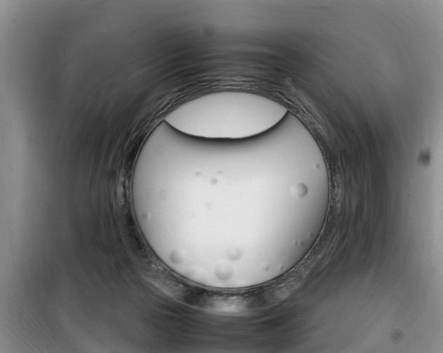 X0000100190169200805300733