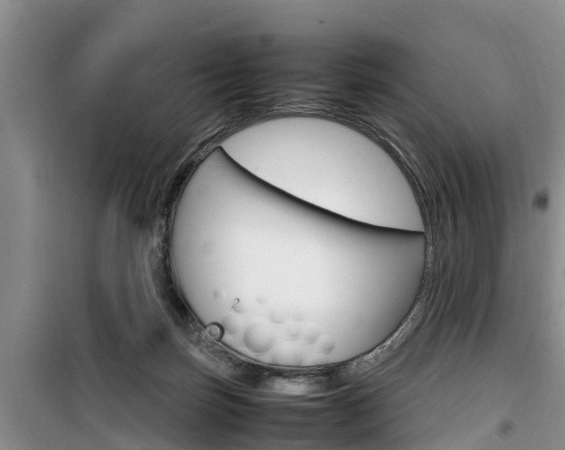 X0000100190171200805300733