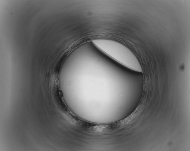 X0000100190172200805300733