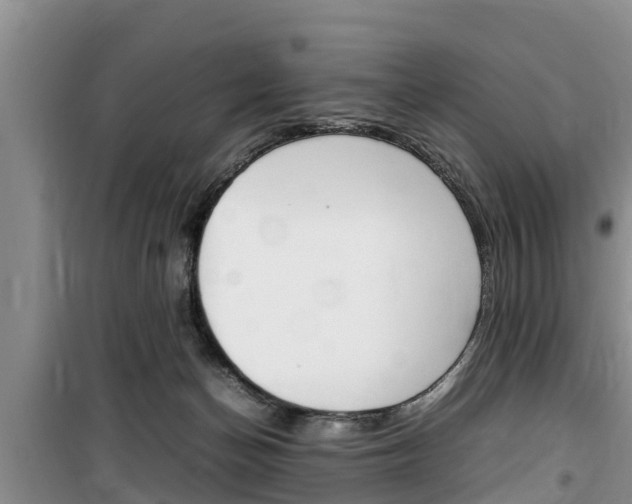 X0000100190174200805300733