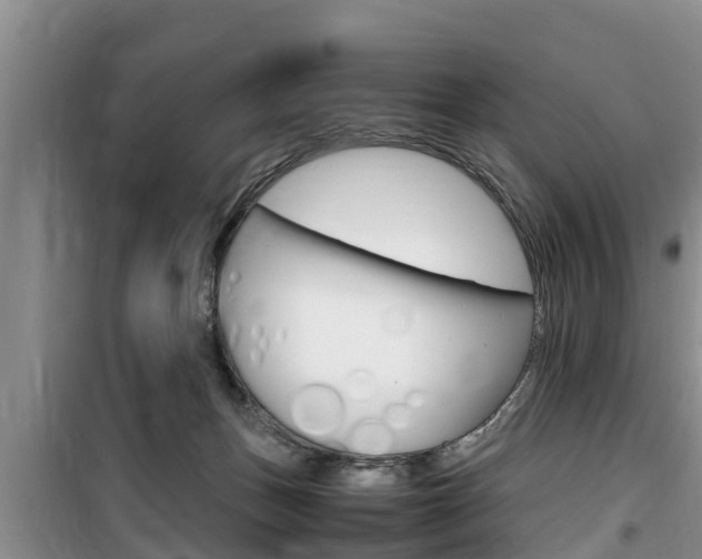 X0000100190175200805300733