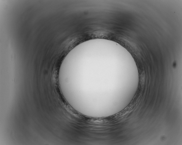 X0000100190181200805300733