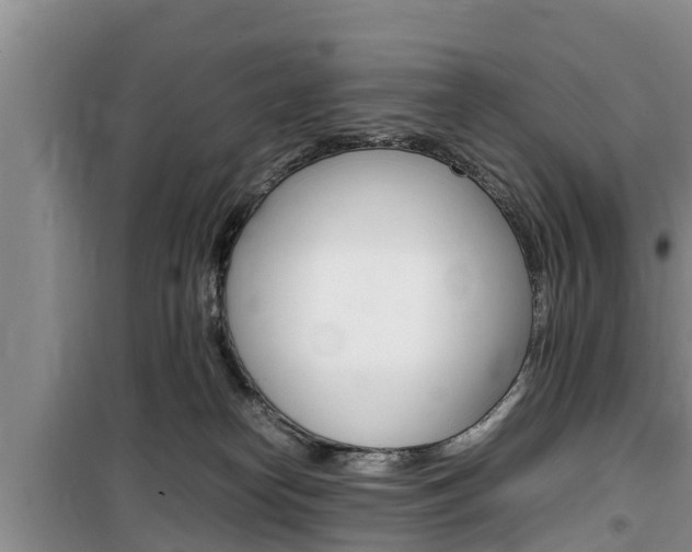 X0000100190182200805300733