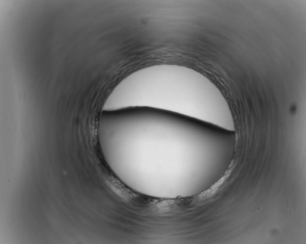 X0000100190186200805300733