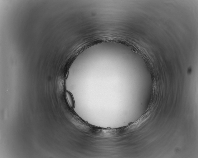 X0000100190188200805300733