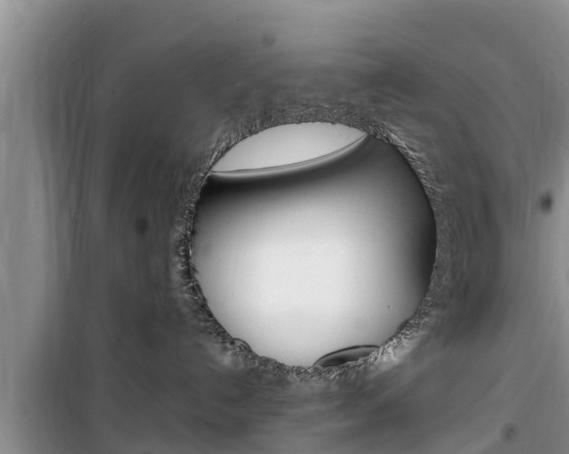 X0000100190192200805300733